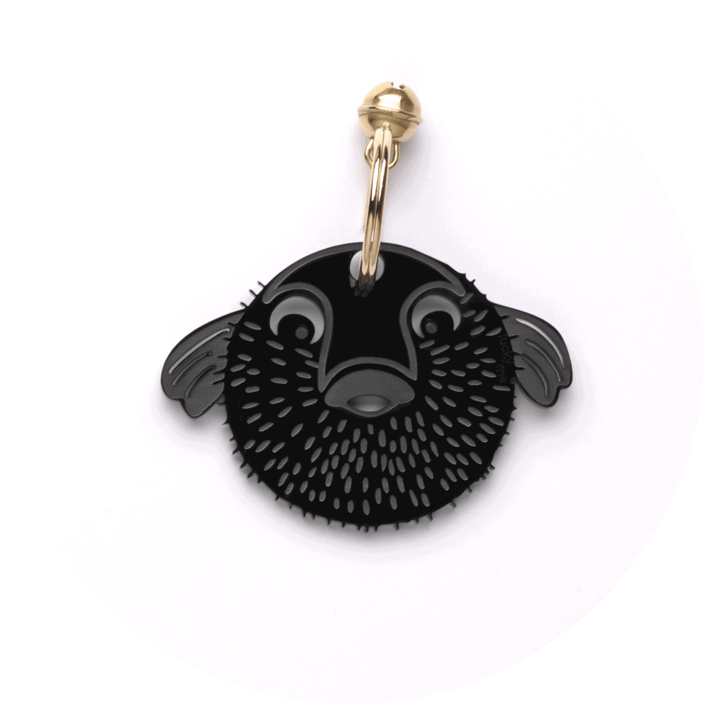 Lucky Puffer Fish – Bild 7
