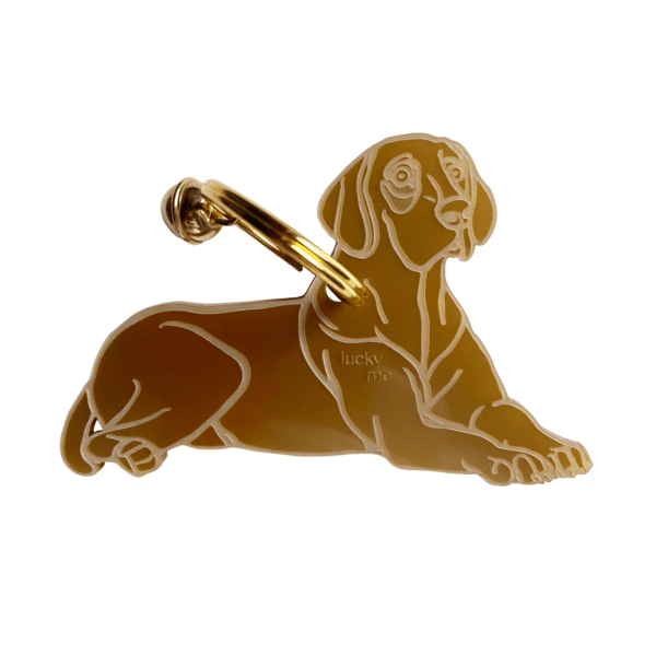 Lucky Vizsla